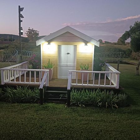 Uitenhage Little Tree Loft 2 B&B 외부 사진