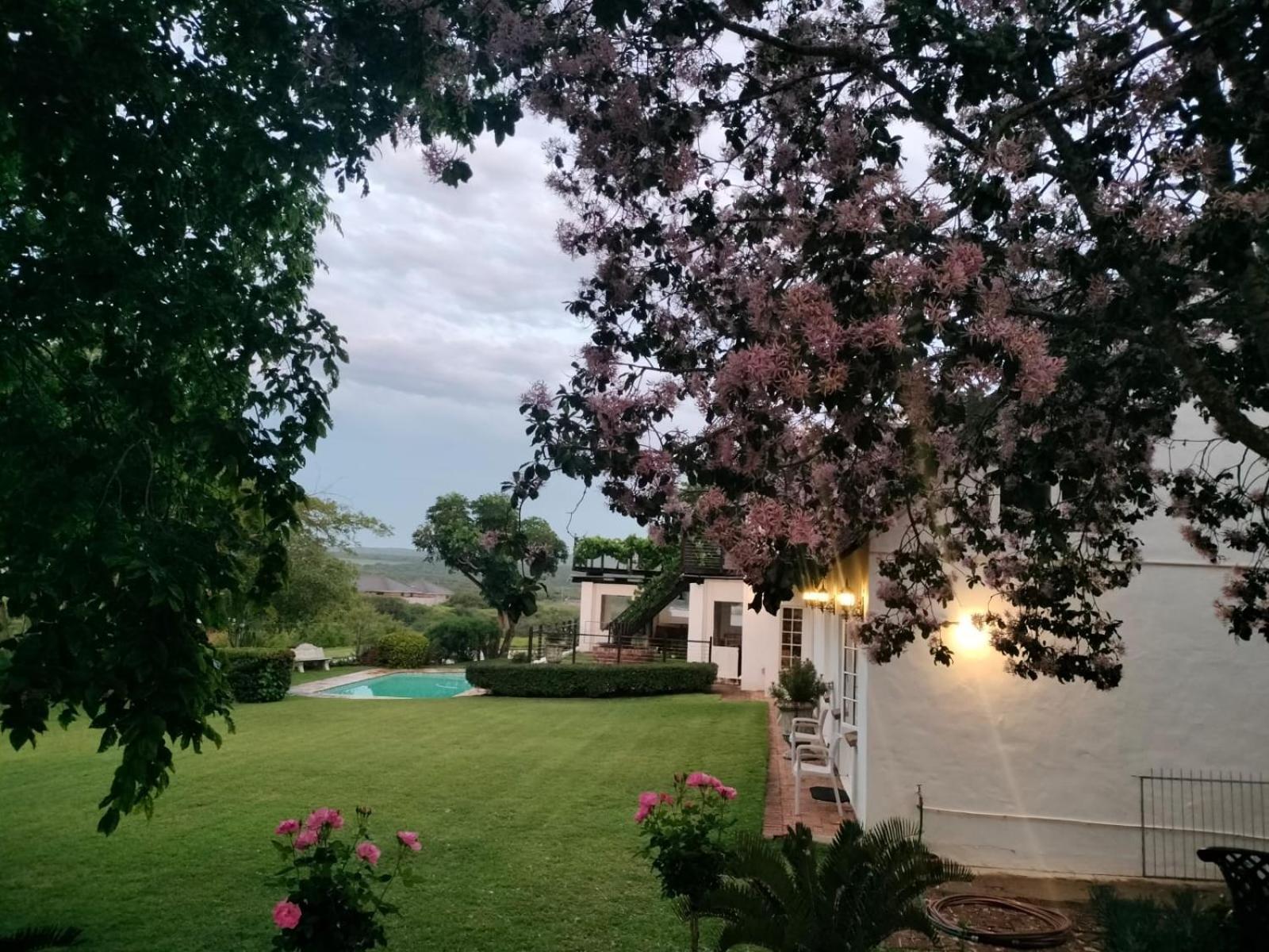 Uitenhage Little Tree Loft 2 B&B 외부 사진